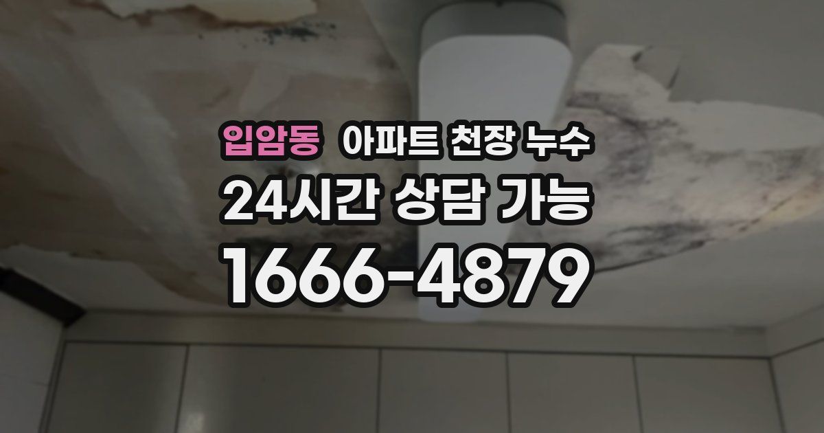 입암동 아파트 천장 누수