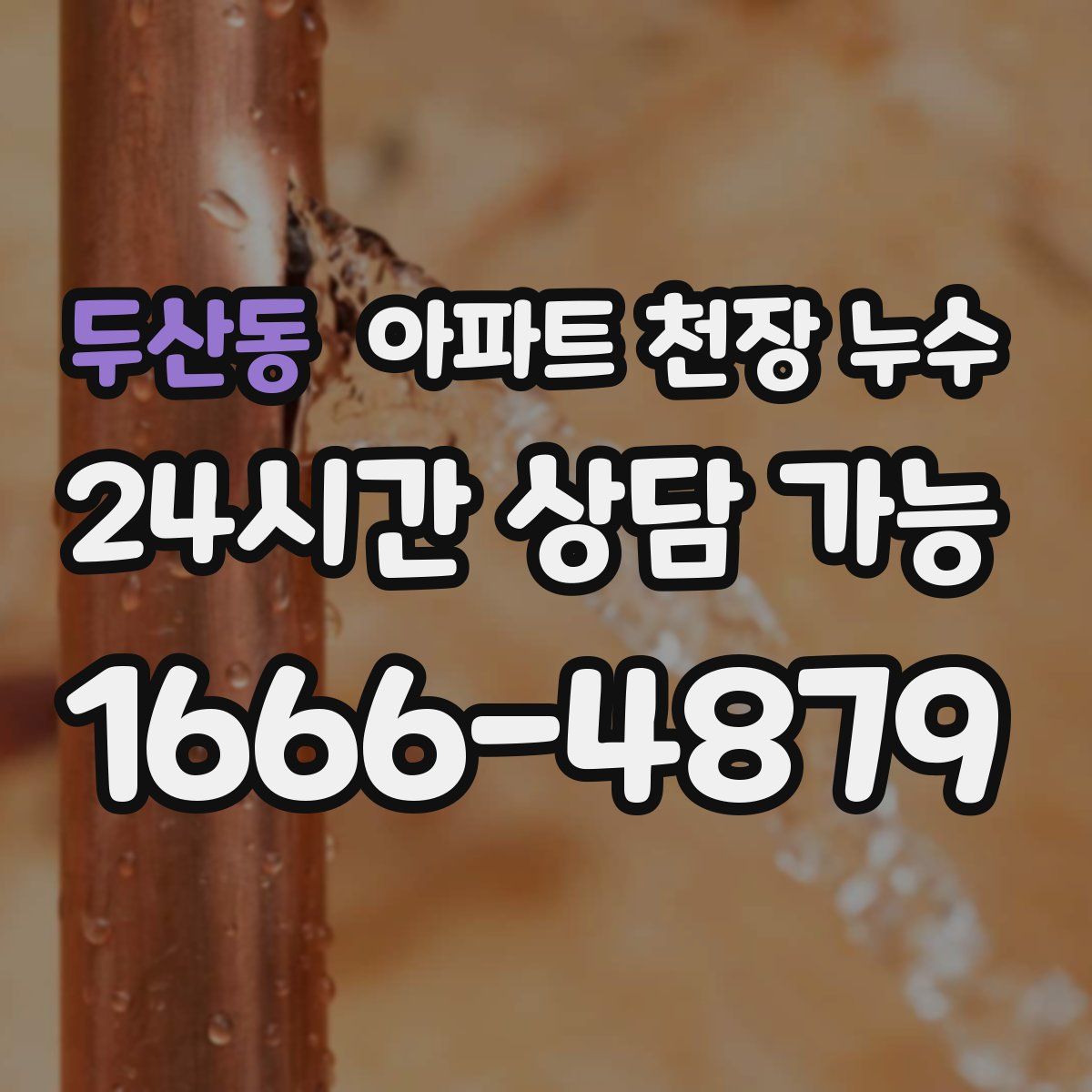 두산동 아파트 천장 누수