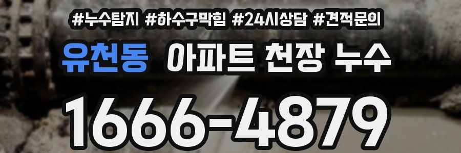 유천동 아파트 천장 누수