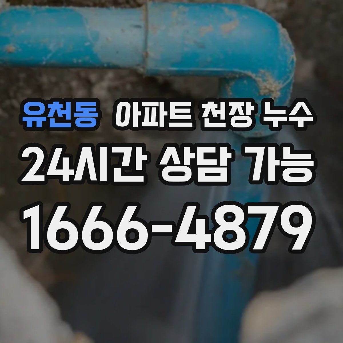 유천동 아파트 천장 누수