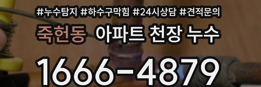 죽헌동 아파트 천장 누수