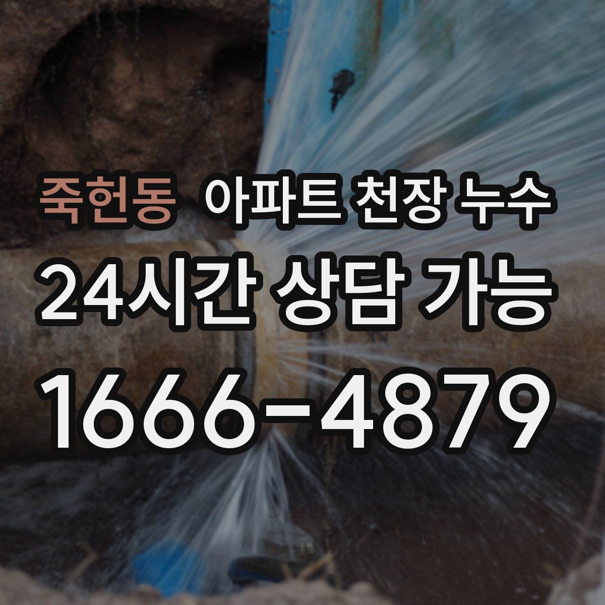죽헌동 아파트 천장 누수