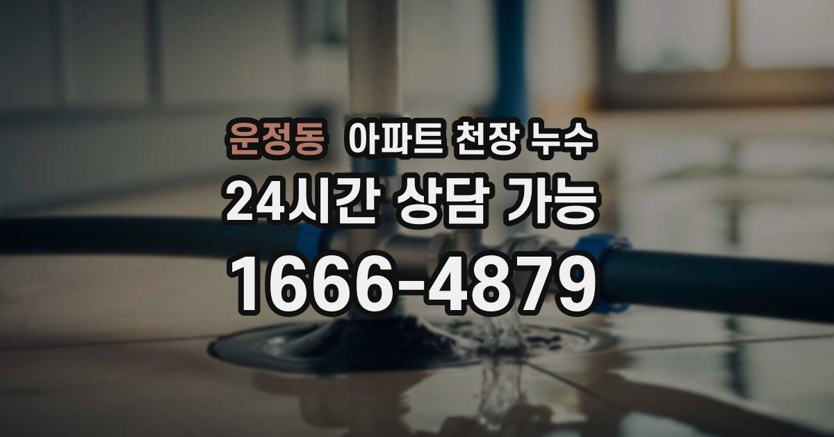 운정동 아파트 천장 누수