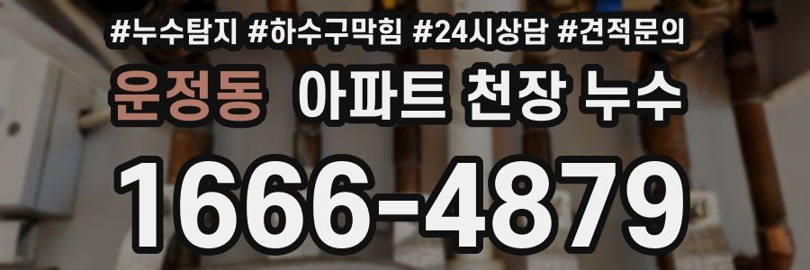 운정동 아파트 천장 누수