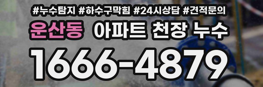운산동 아파트 천장 누수