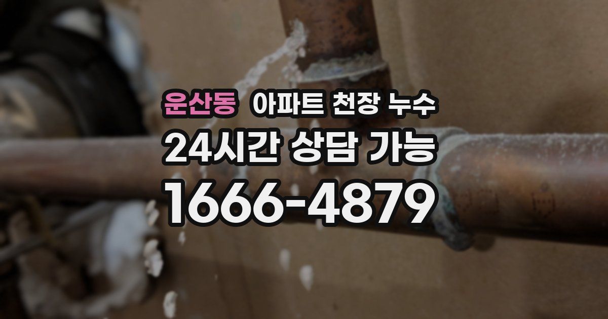 운산동 아파트 천장 누수