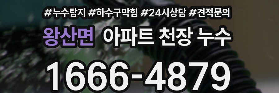 왕산면 아파트 천장 누수