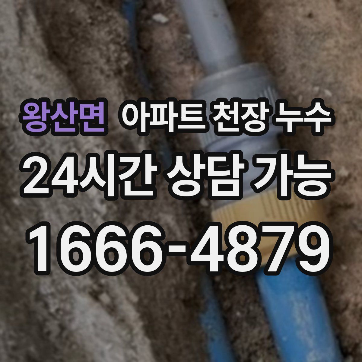 왕산면 아파트 천장 누수