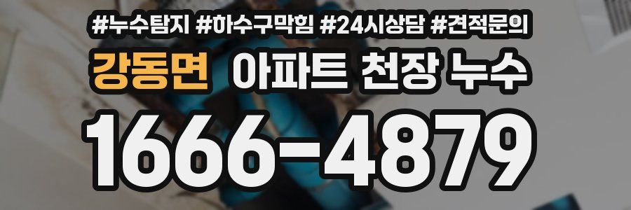 강동면 아파트 천장 누수