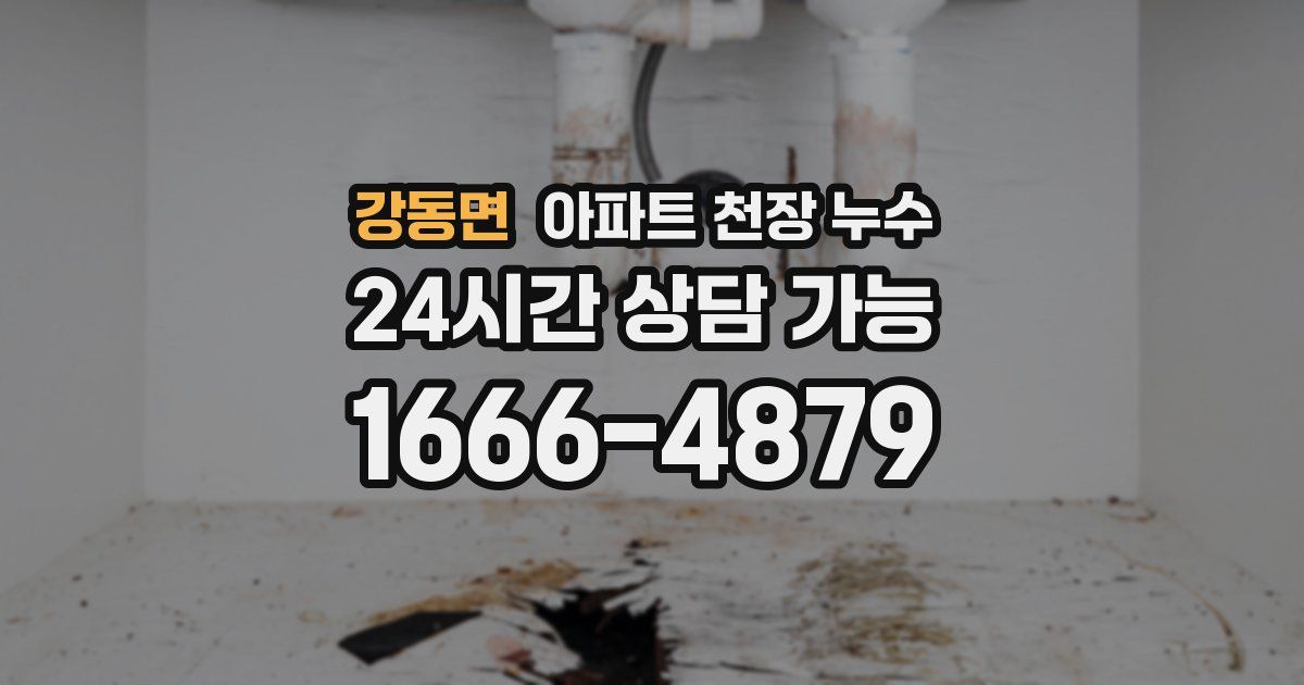 강동면 아파트 천장 누수