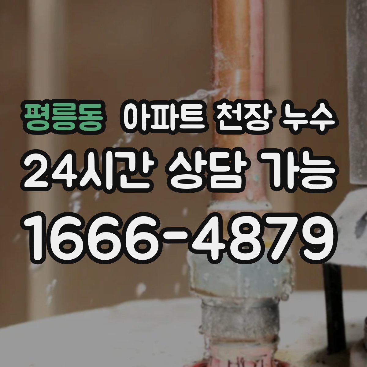 평릉동 아파트 천장 누수