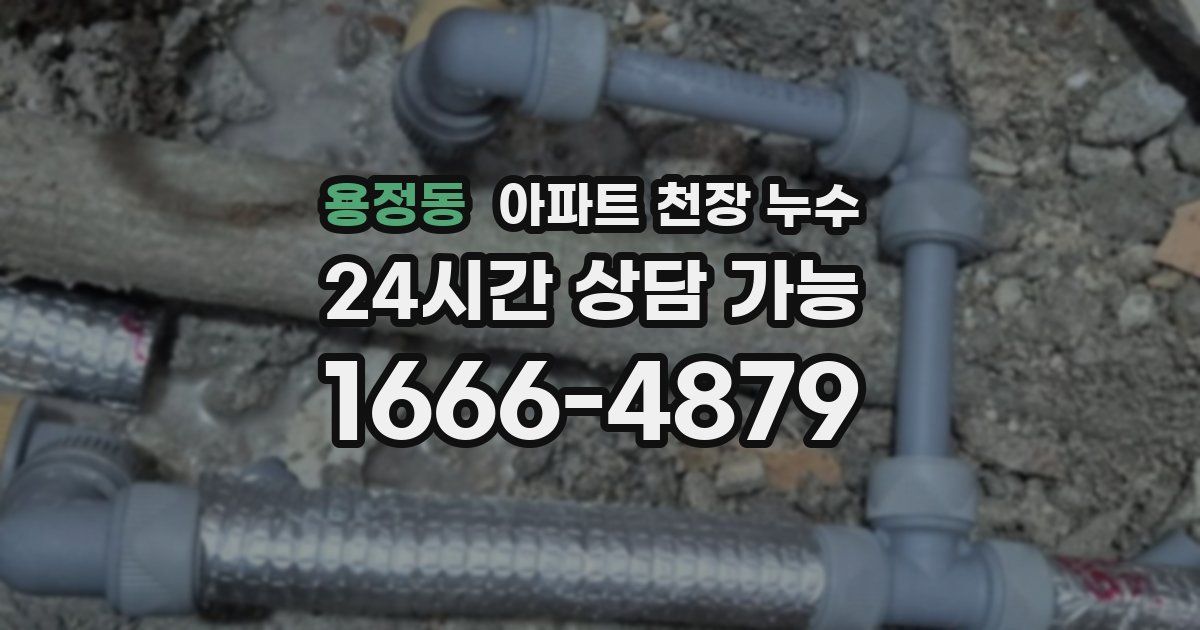 용정동 아파트 천장 누수