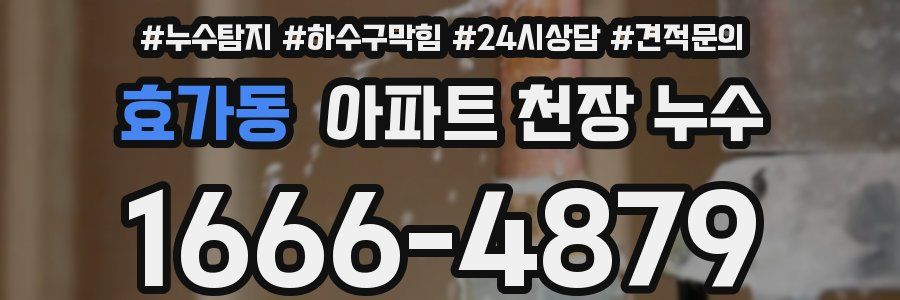 효가동 아파트 천장 누수