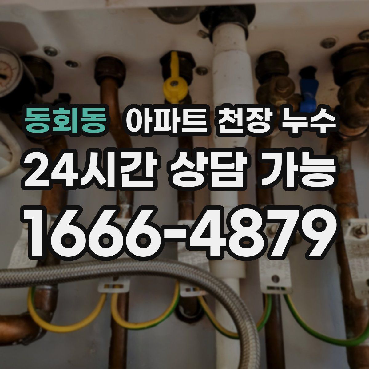 동회동 아파트 천장 누수
