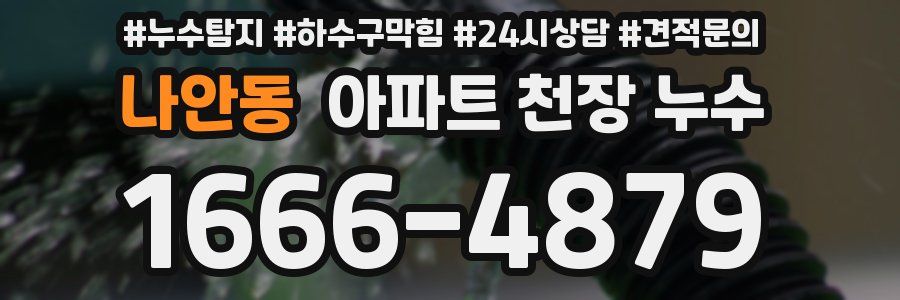 나안동 아파트 천장 누수