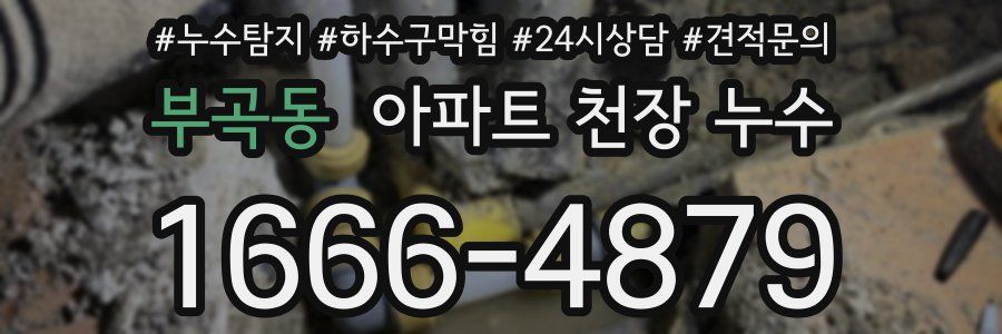 부곡동 아파트 천장 누수