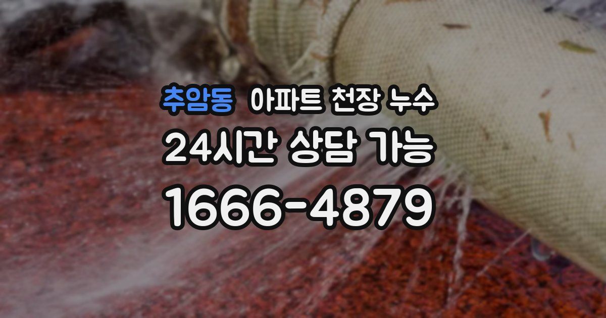 추암동 아파트 천장 누수