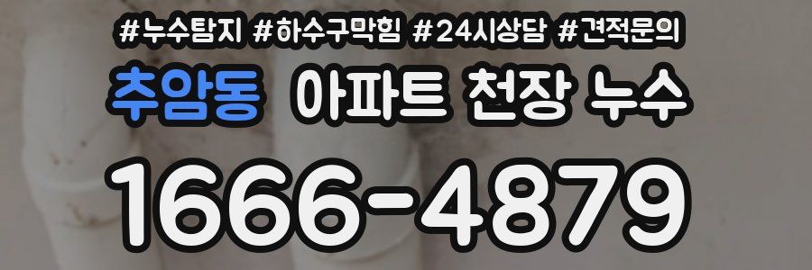 추암동 아파트 천장 누수