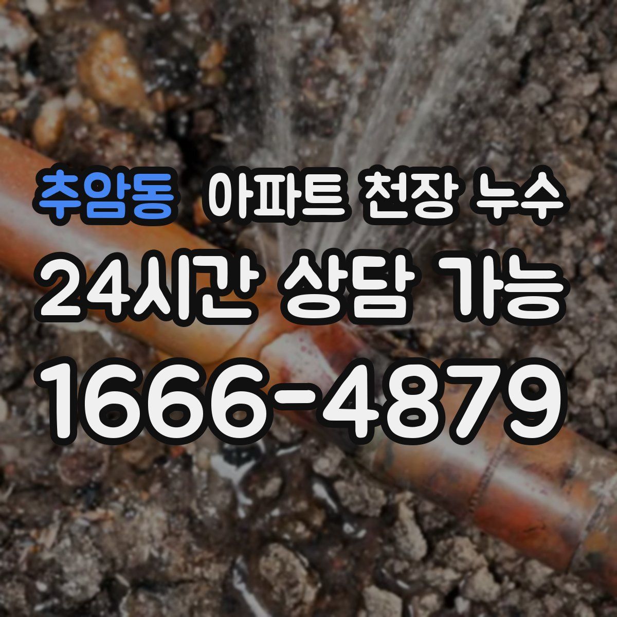 추암동 아파트 천장 누수