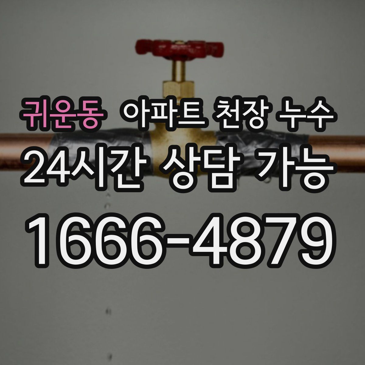 귀운동 아파트 천장 누수