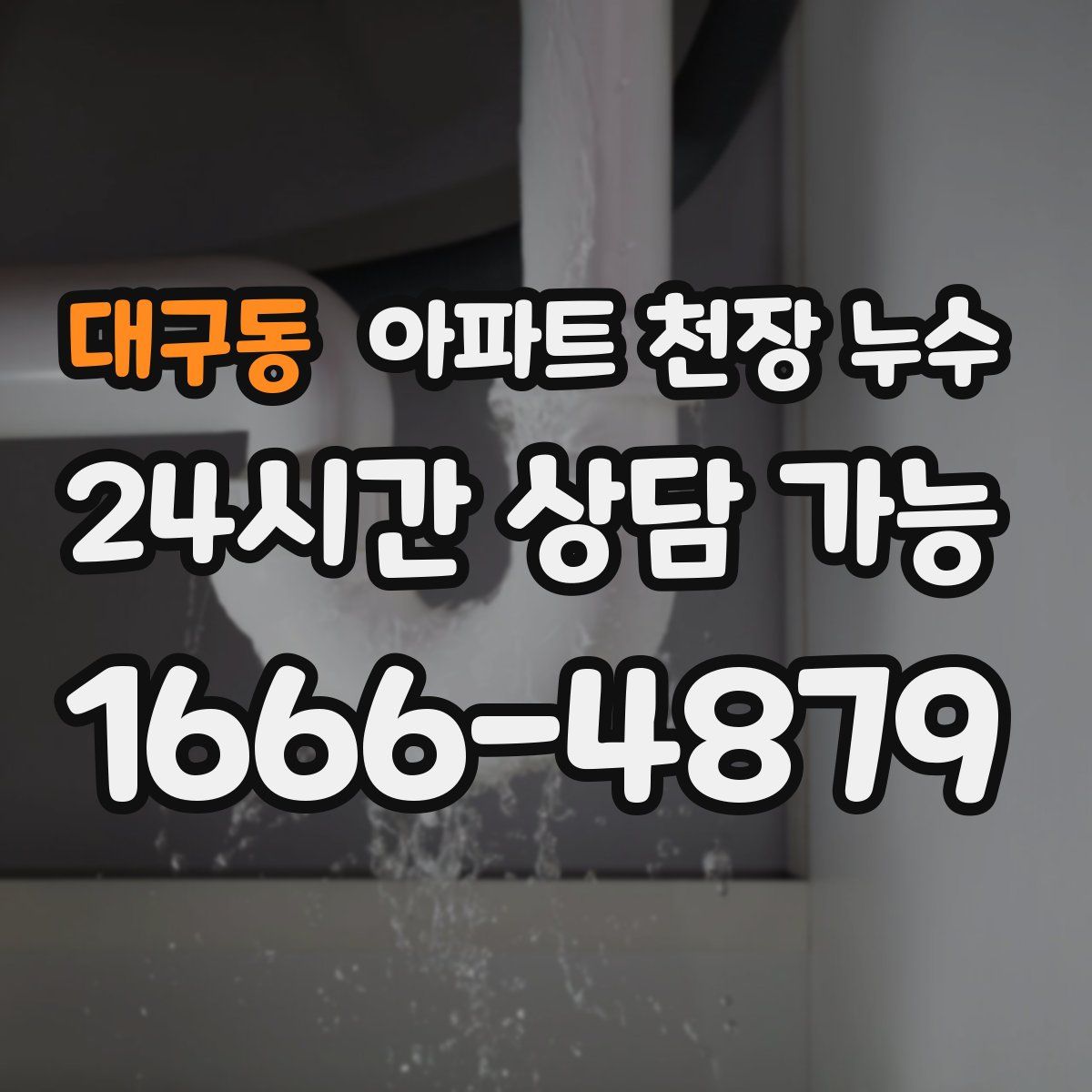 대구동 아파트 천장 누수