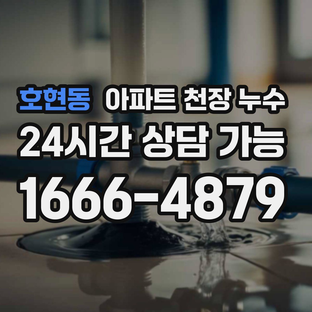 호현동 아파트 천장 누수