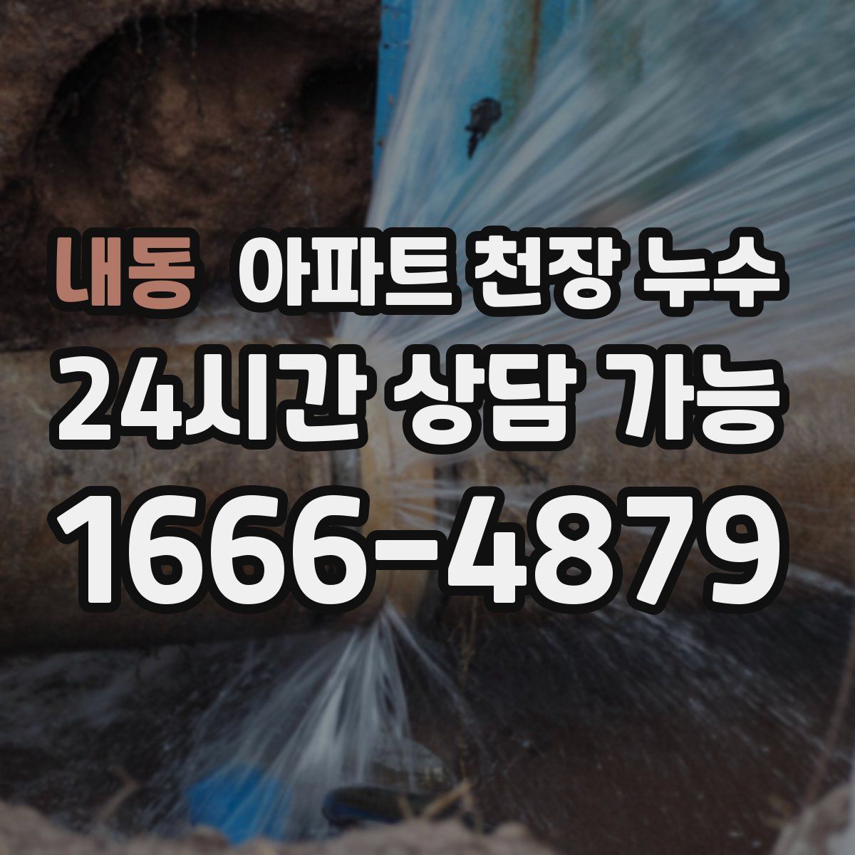 내동 아파트 천장 누수
