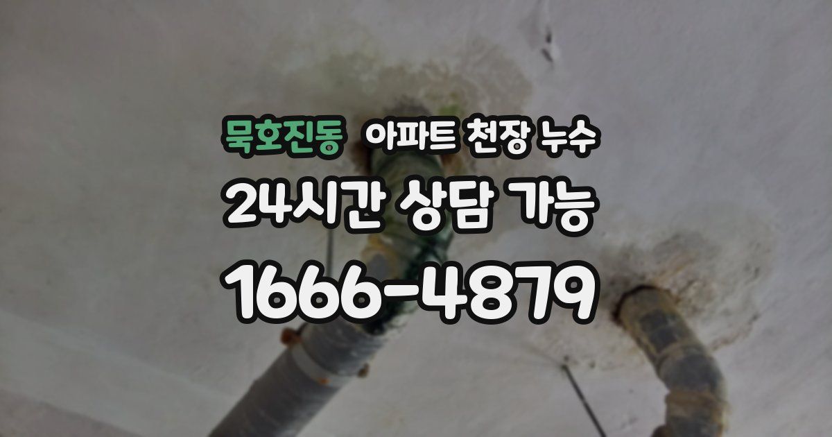 묵호진동 아파트 천장 누수