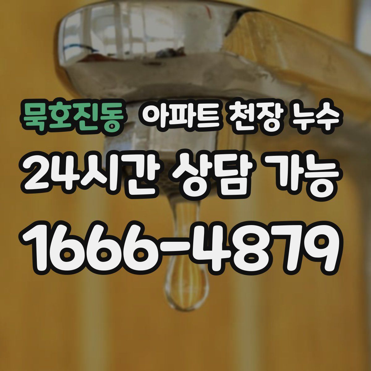 묵호진동 아파트 천장 누수