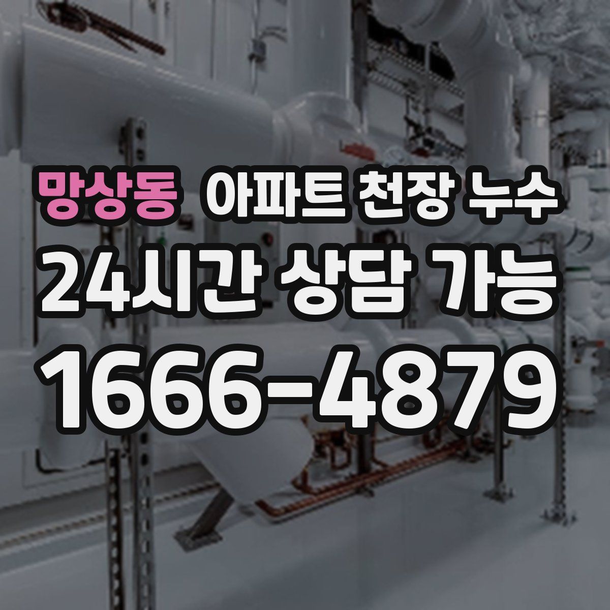 망상동 아파트 천장 누수