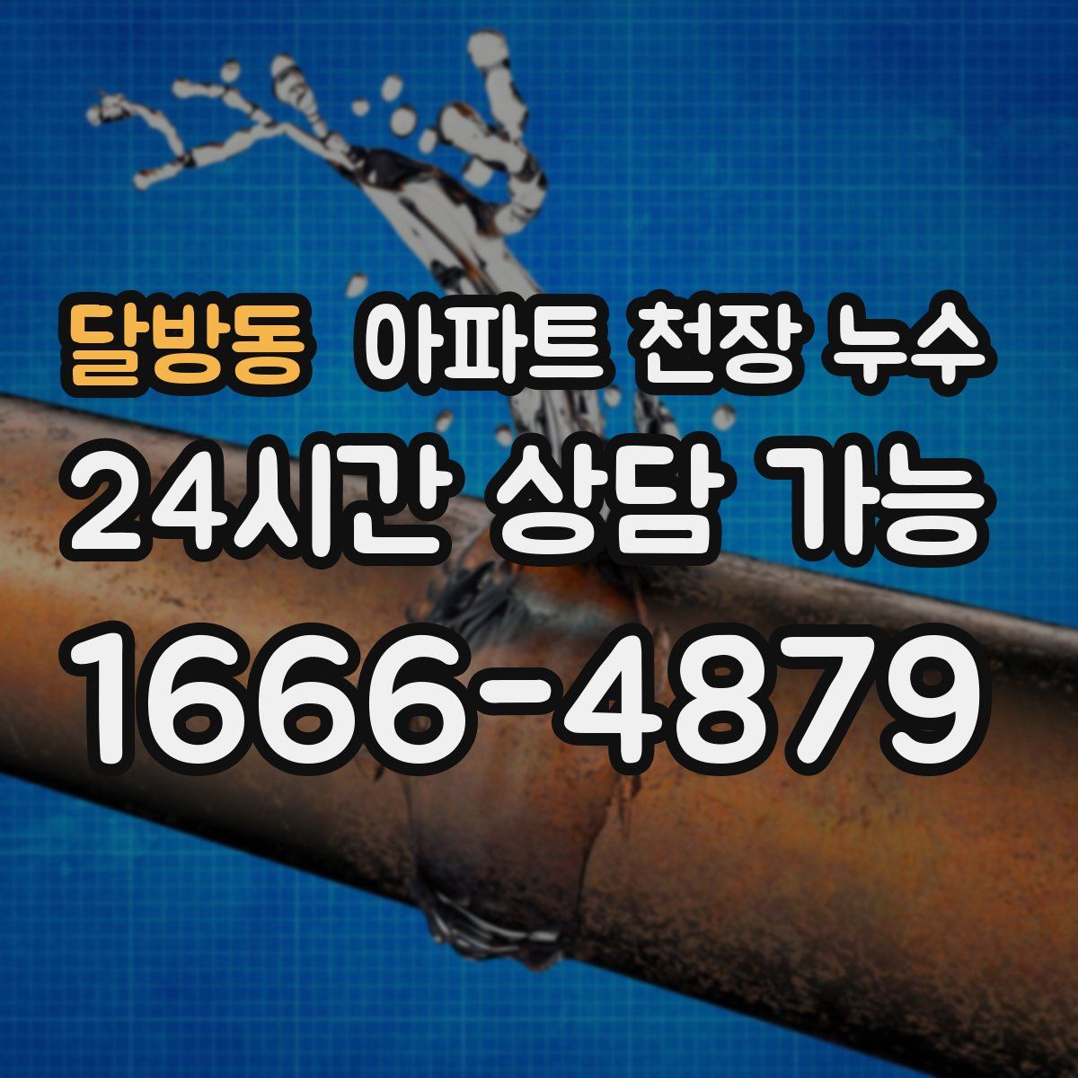 달방동 아파트 천장 누수