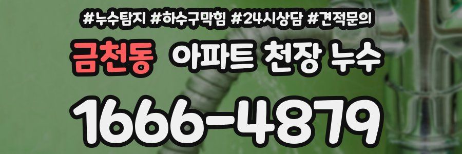 금천동 아파트 천장 누수