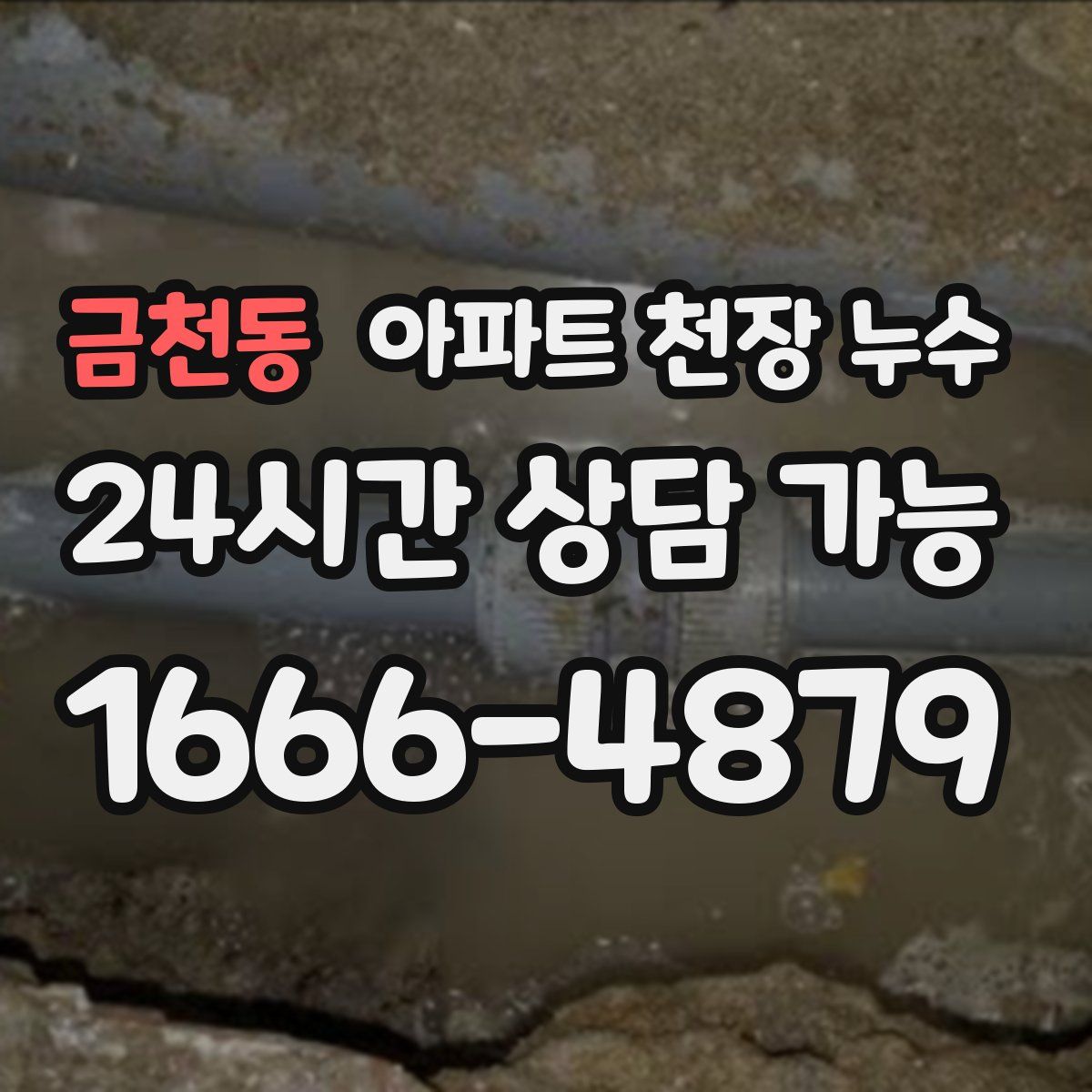 금천동 아파트 천장 누수
