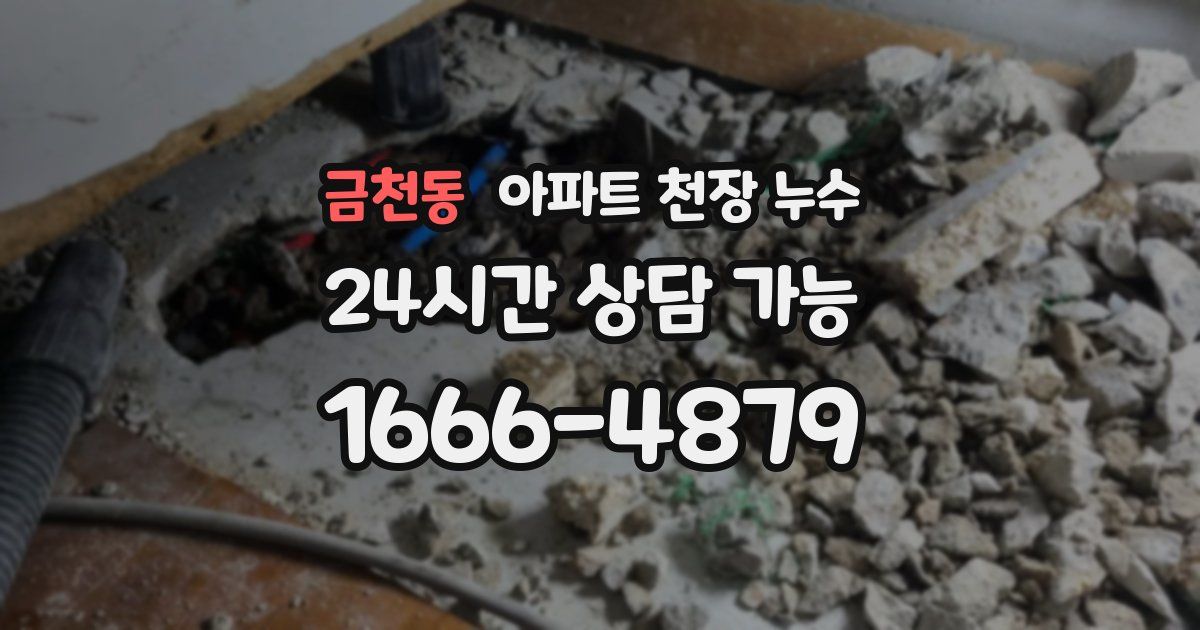 금천동 아파트 천장 누수