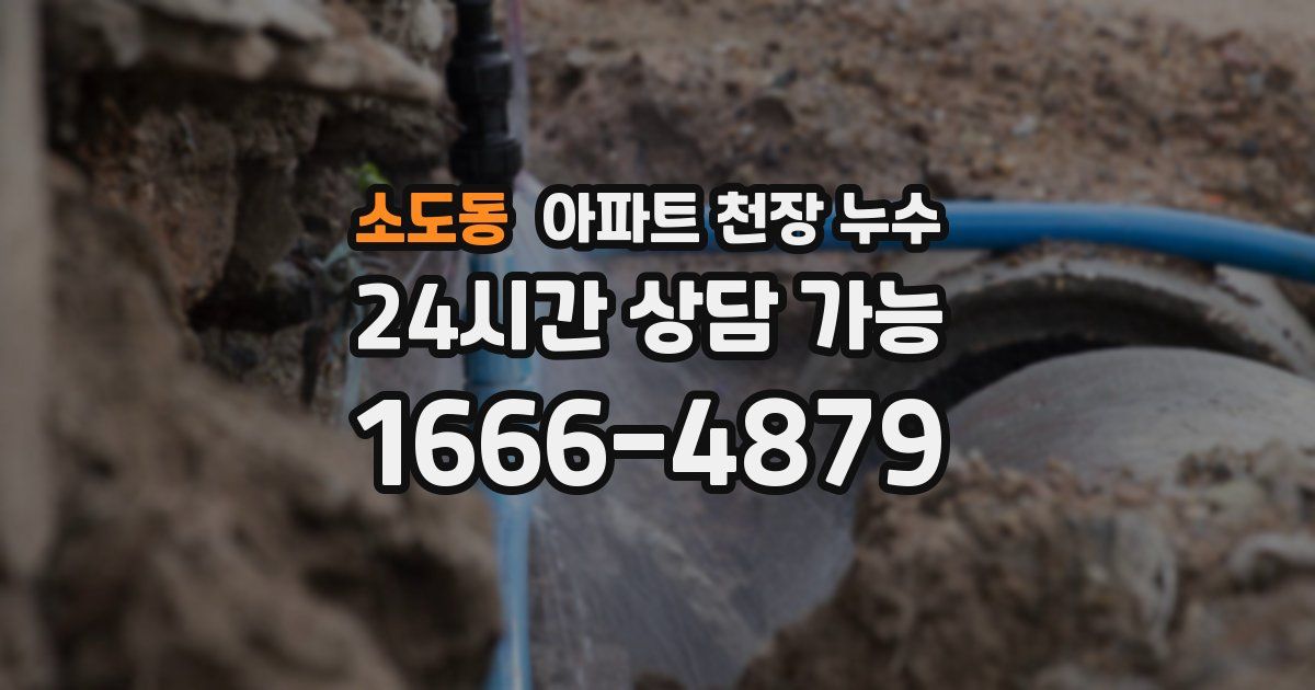 소도동 아파트 천장 누수