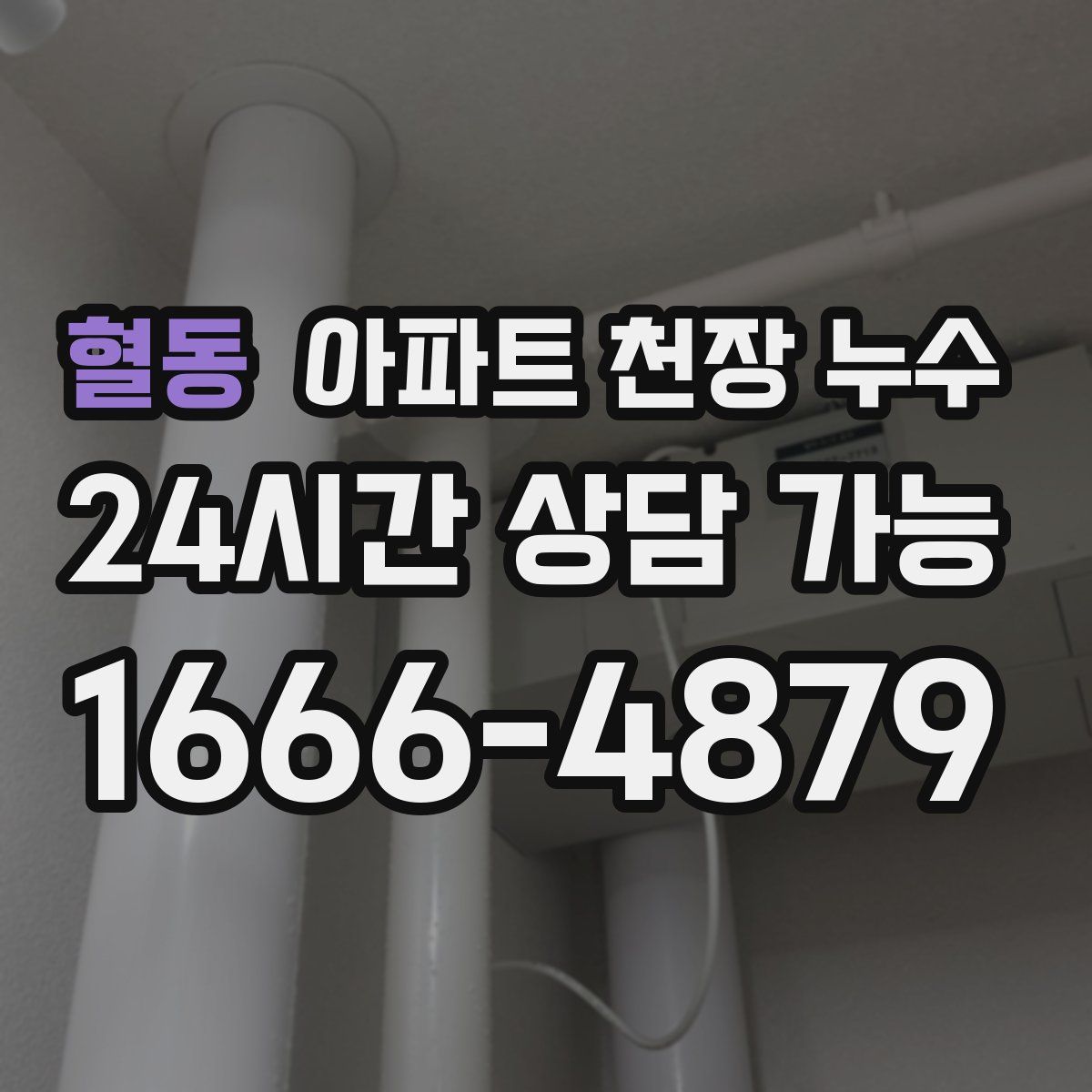 혈동 아파트 천장 누수