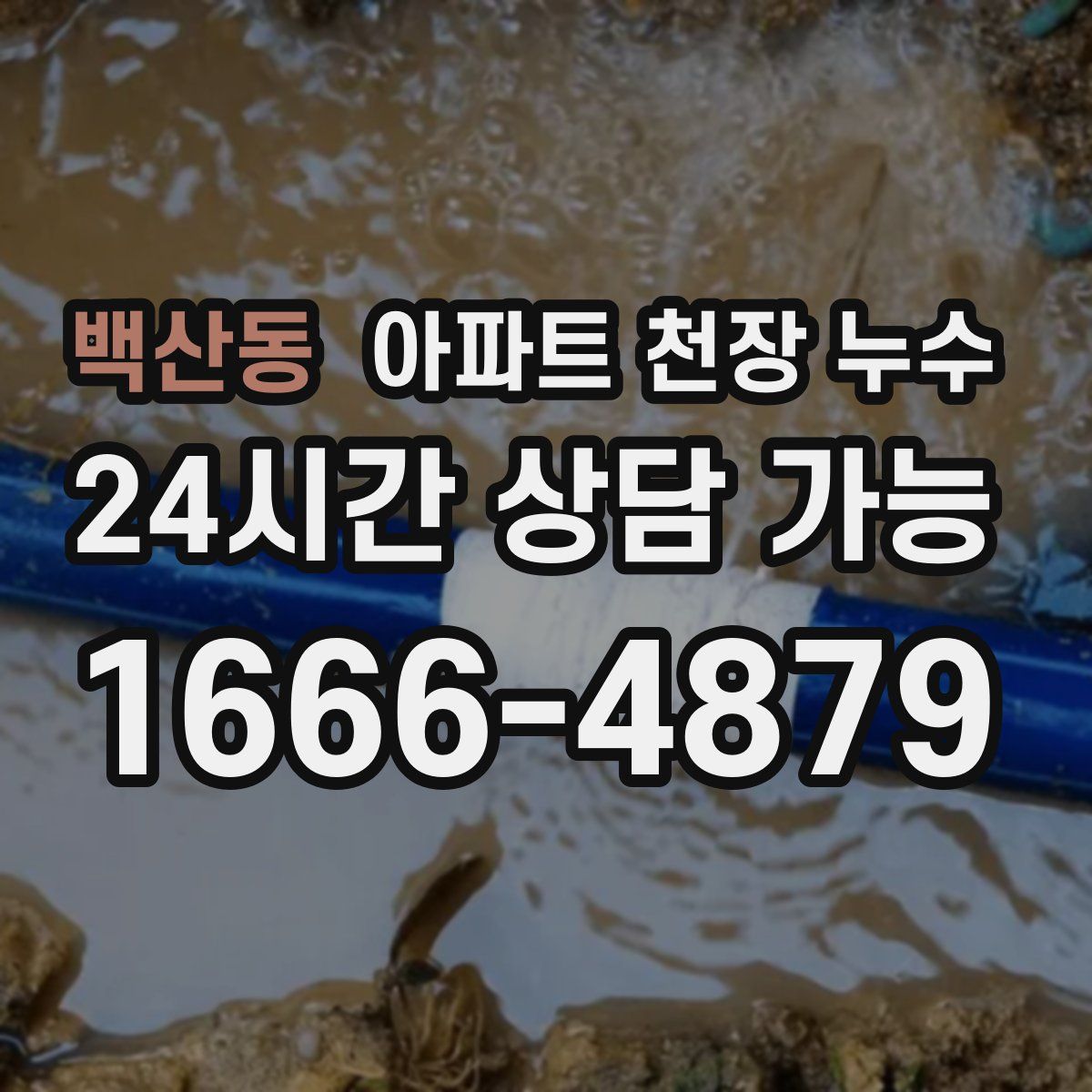 백산동 아파트 천장 누수
