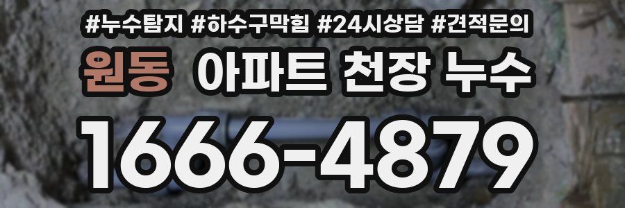 원동 아파트 천장 누수