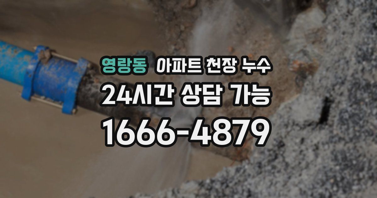 영랑동 아파트 천장 누수