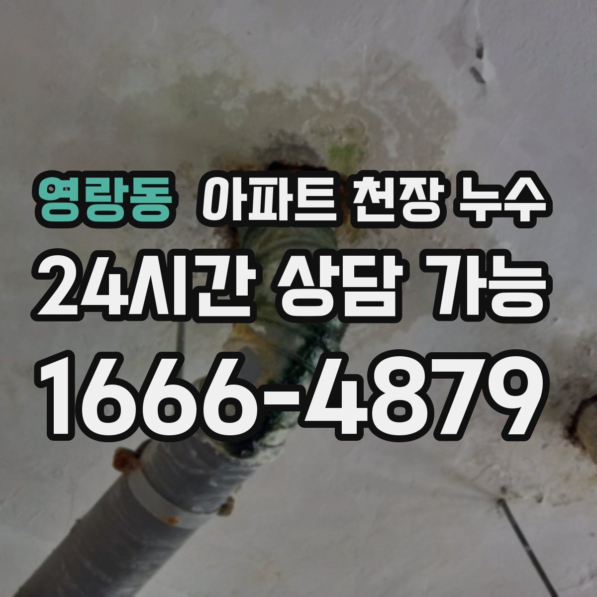 영랑동 아파트 천장 누수