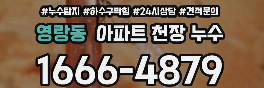 영랑동 아파트 천장 누수
