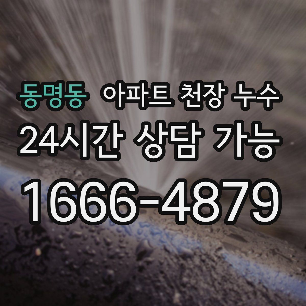 동명동 아파트 천장 누수