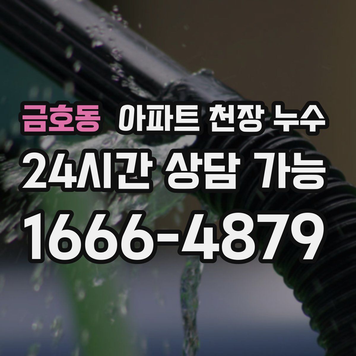 금호동 아파트 천장 누수
