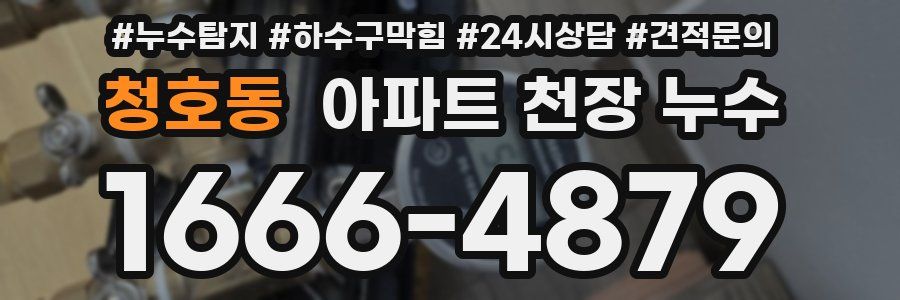 청호동 아파트 천장 누수