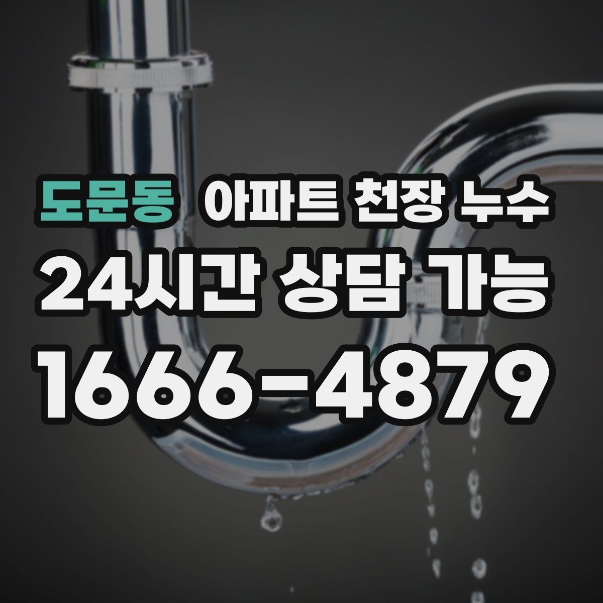 도문동 아파트 천장 누수