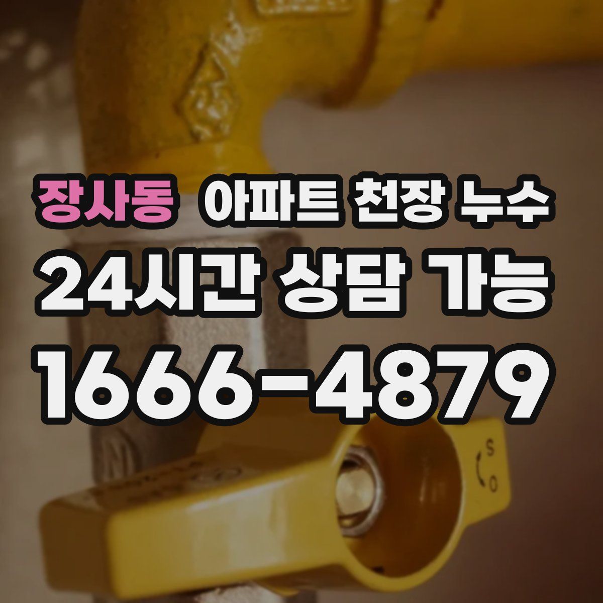 장사동 아파트 천장 누수