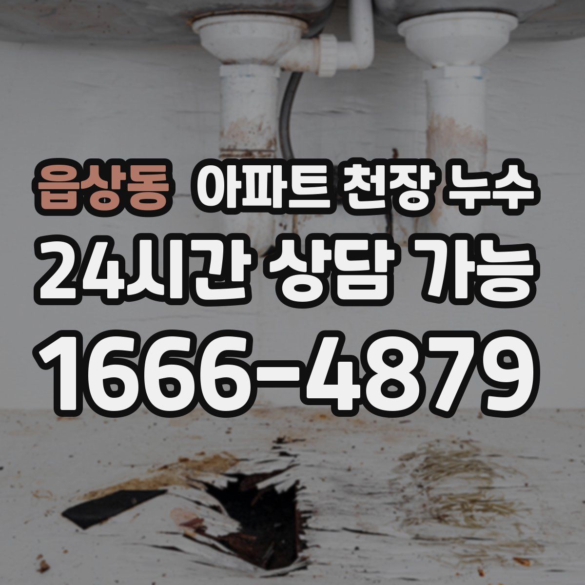 읍상동 아파트 천장 누수