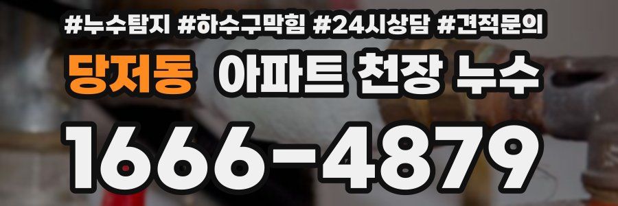 당저동 아파트 천장 누수