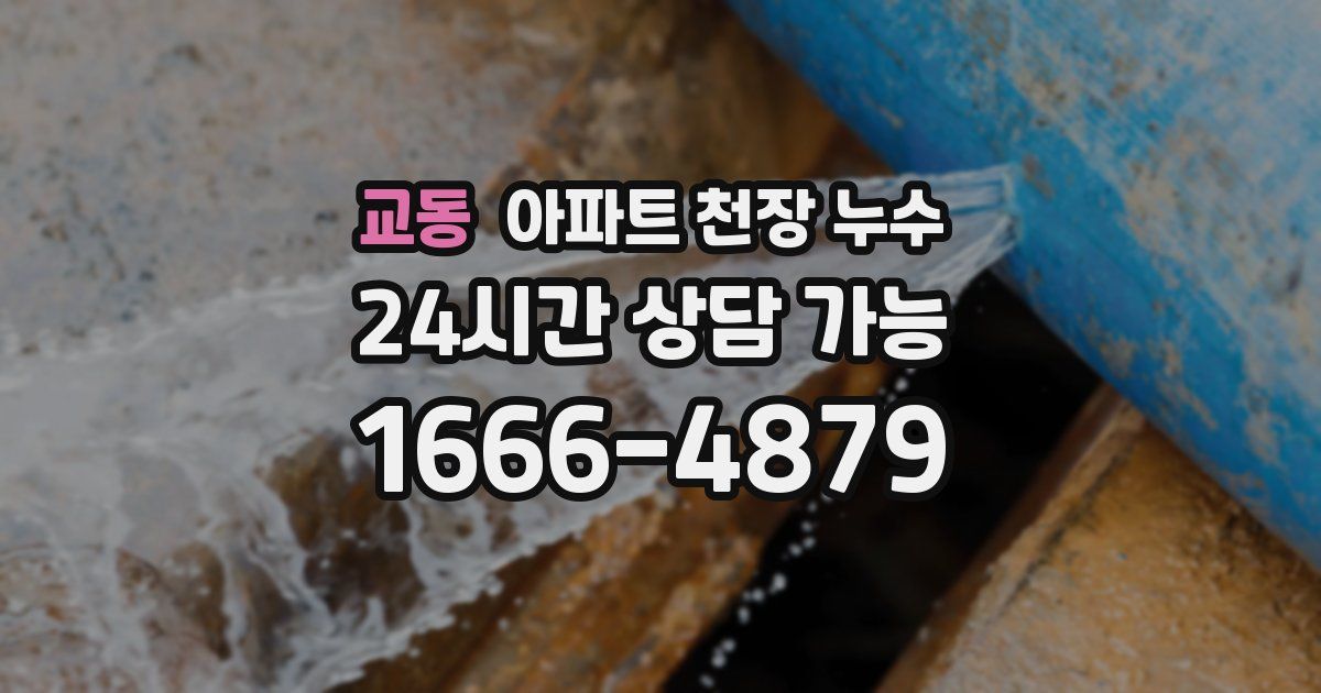 교동 아파트 천장 누수