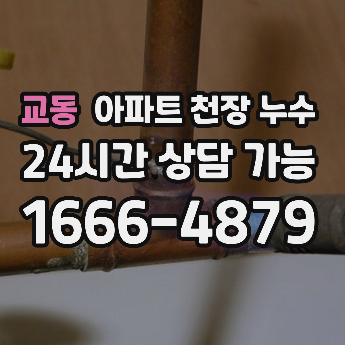 교동 아파트 천장 누수
